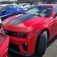 Avatar de l’utilisateur