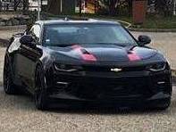 Avatar de l’utilisateur