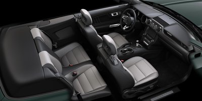 vehicle (1).jpg