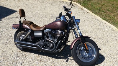 HARLEY 7.jpg