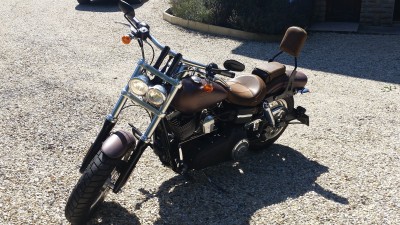 harley 9.jpg