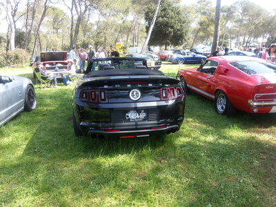 20140405_120320.jpg