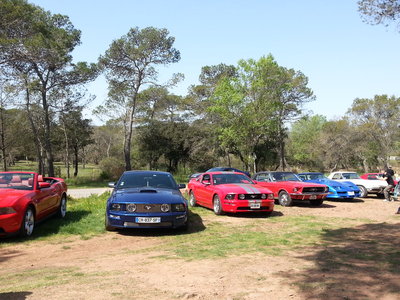 20140405_120449.jpg