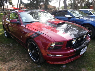 20140405_122719.jpg