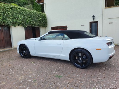 20210824_184052 (Moyen).jpg