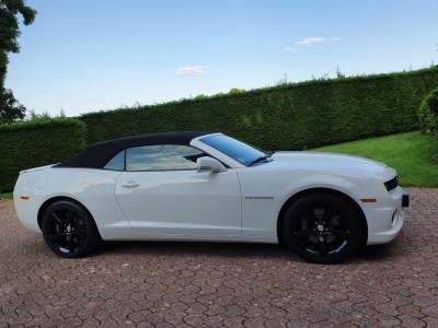 20210824_184513 (Moyen).jpg