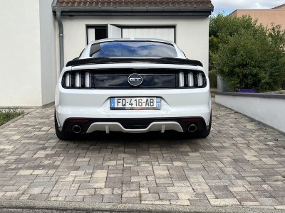 IMG_0857 2.jpeg