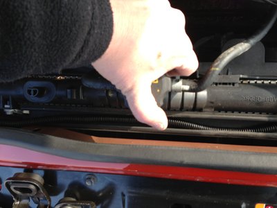 IMG_1136.JPG