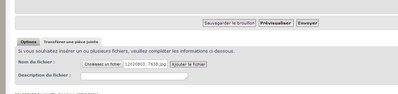 foto3.JPG