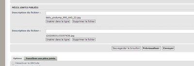 foto8.JPG